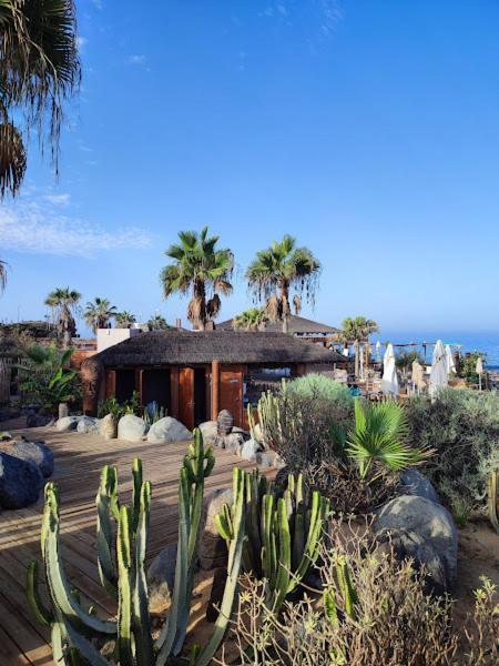 Margherita House Tenerife, Wonderful Ocean View Palm-mar Exterior foto