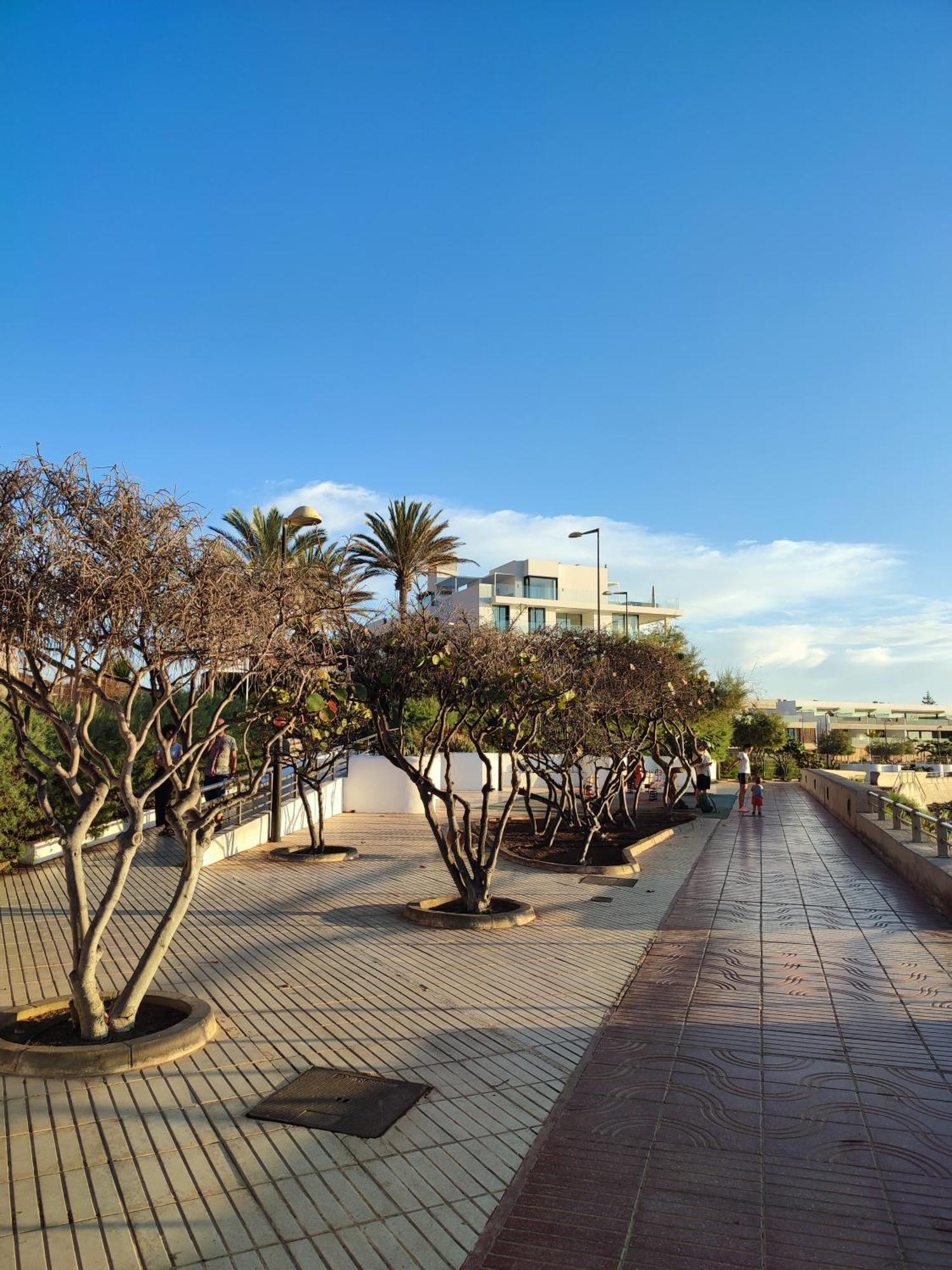 Margherita House Tenerife, Wonderful Ocean View Palm-mar Exterior foto